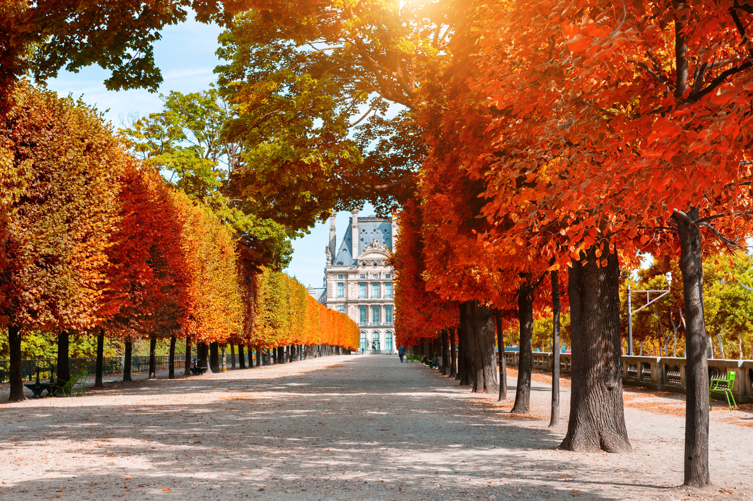 Paysage automnal en Corse avec couleurs chaudes